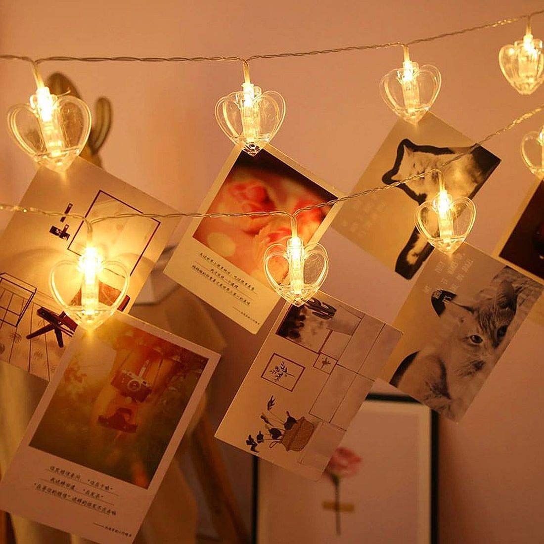 LED Lights