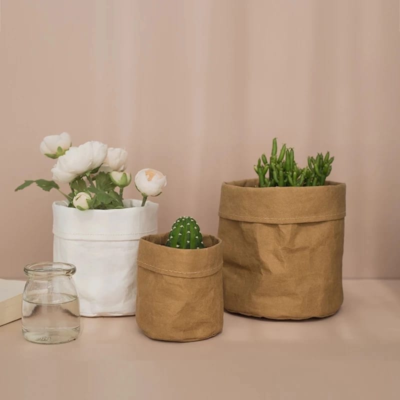 kraft paper planter for indoor use.