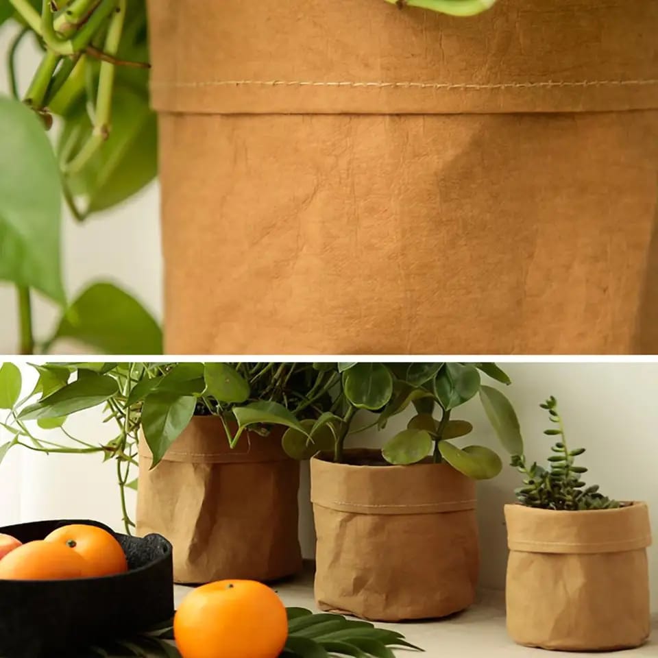 kraft paper planter for indoor use.