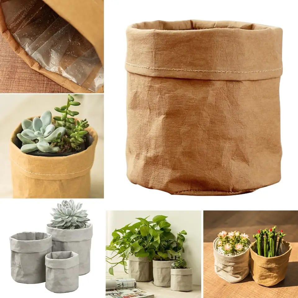 kraft paper planter for indoor use.