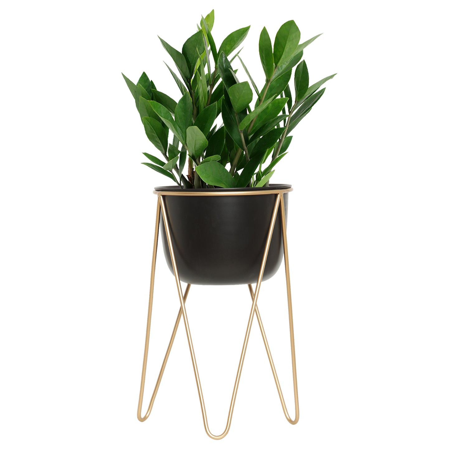 Metal planter for Home and office Decoration
