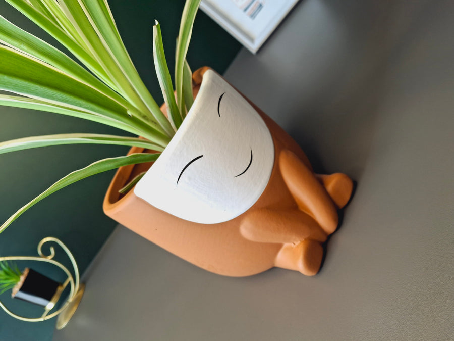 Cute Face Ceramic Flower Pot