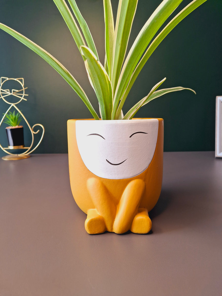 Cute Face Ceramic Flower Pot