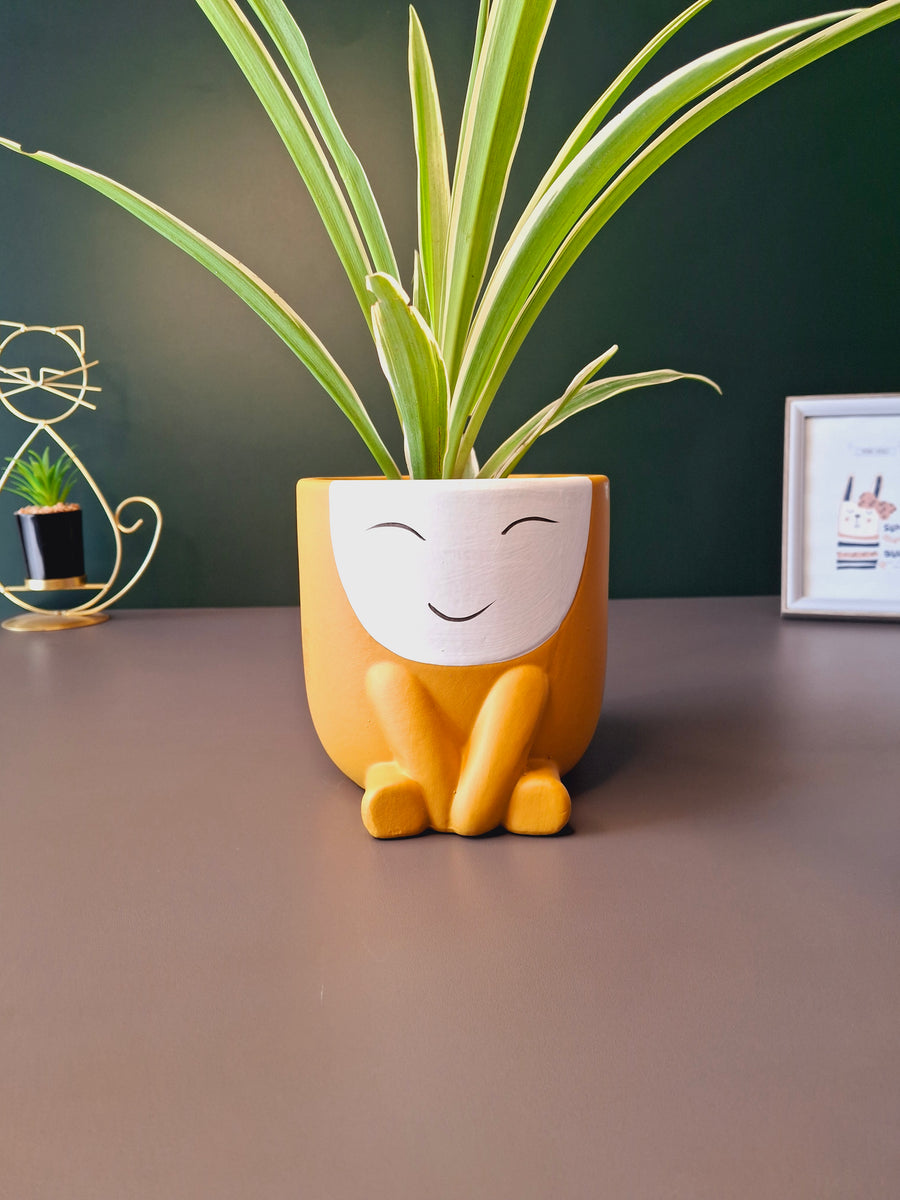 Cute Face Ceramic Flower Pot