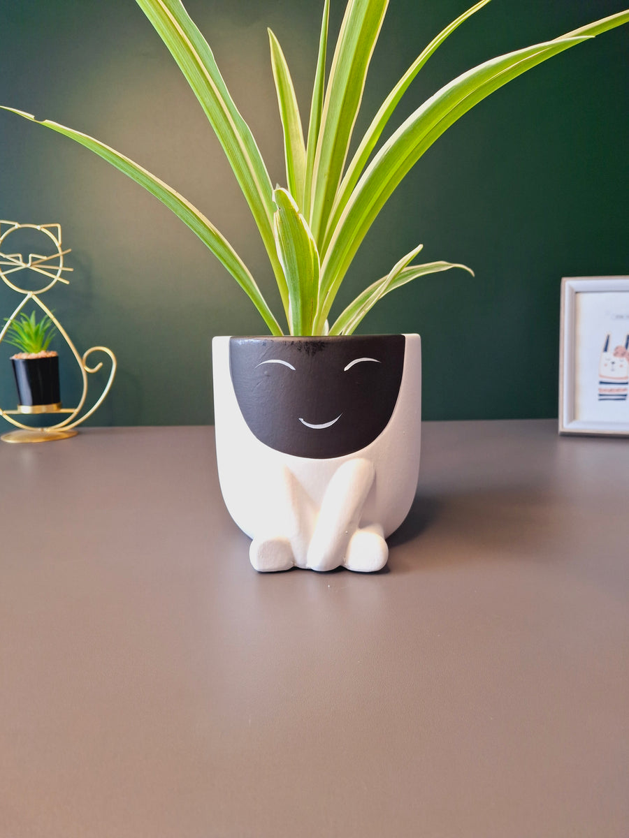 Cute Face Ceramic Flower Pot