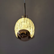 Dolphin Acrylic Pendant Light Big