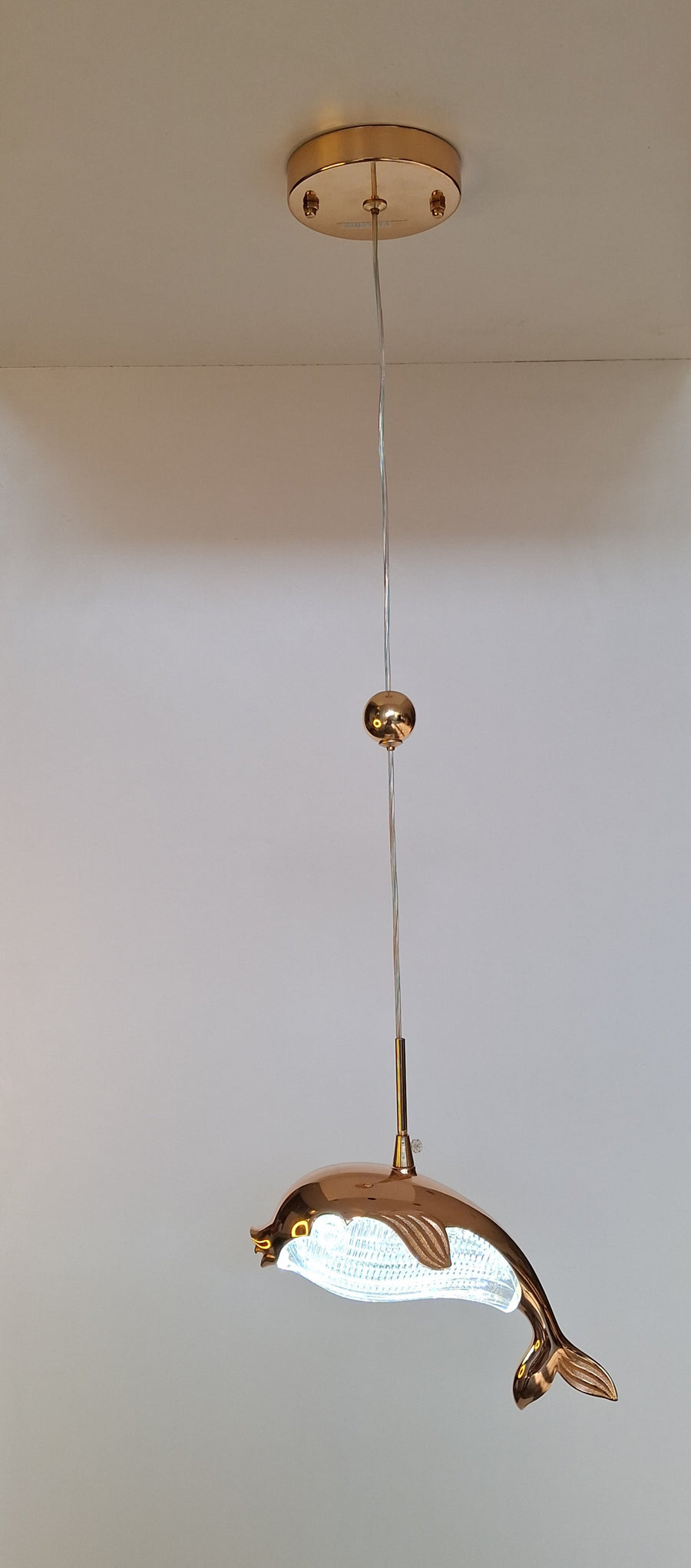 Dolphin Acrylic Pendant Light