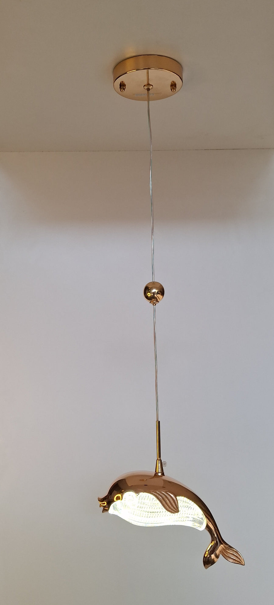 Dolphin Acrylic Pendant Light