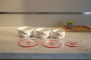 set of 3 Ceramic  serving Bowl Set with Air tight Lids