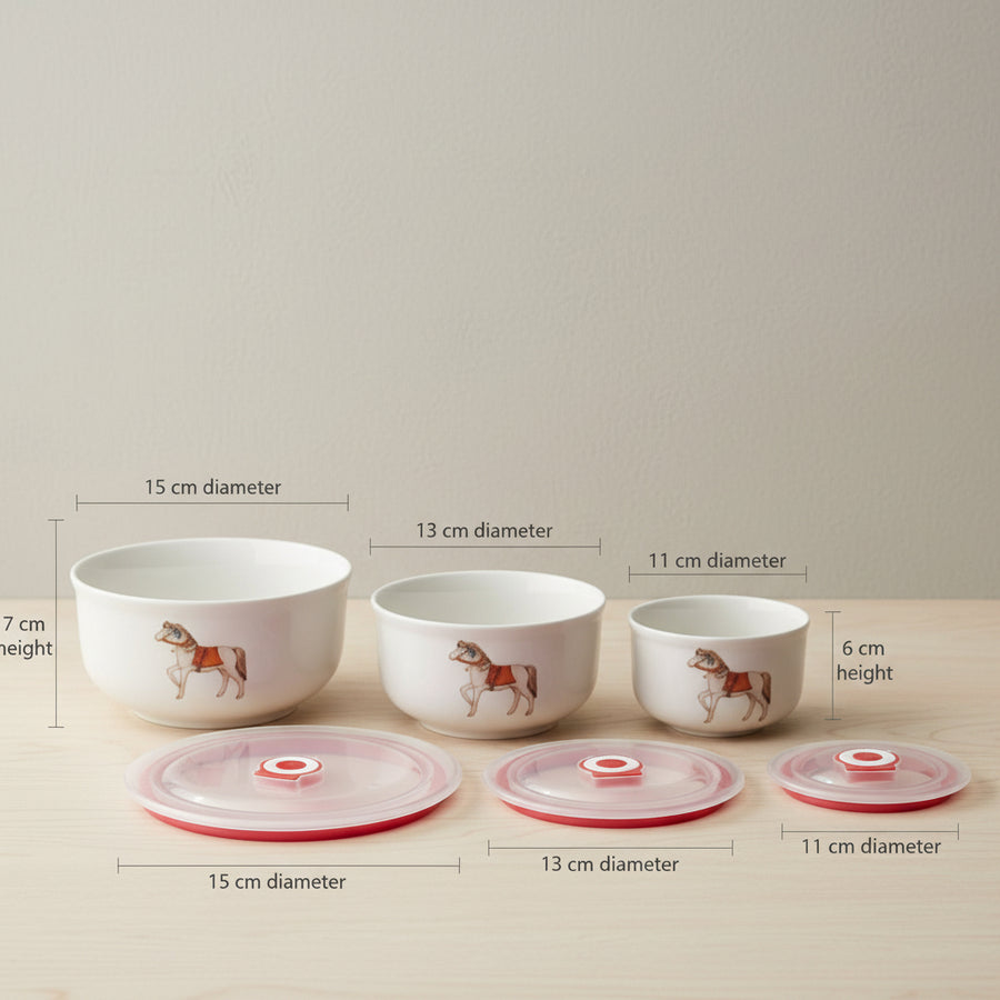 set of 3 Ceramic  serving Bowl Set with Air tight Lids