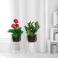 Metal planter for Home and office Decoration