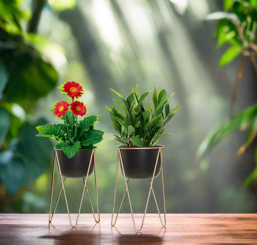 Metal Planter