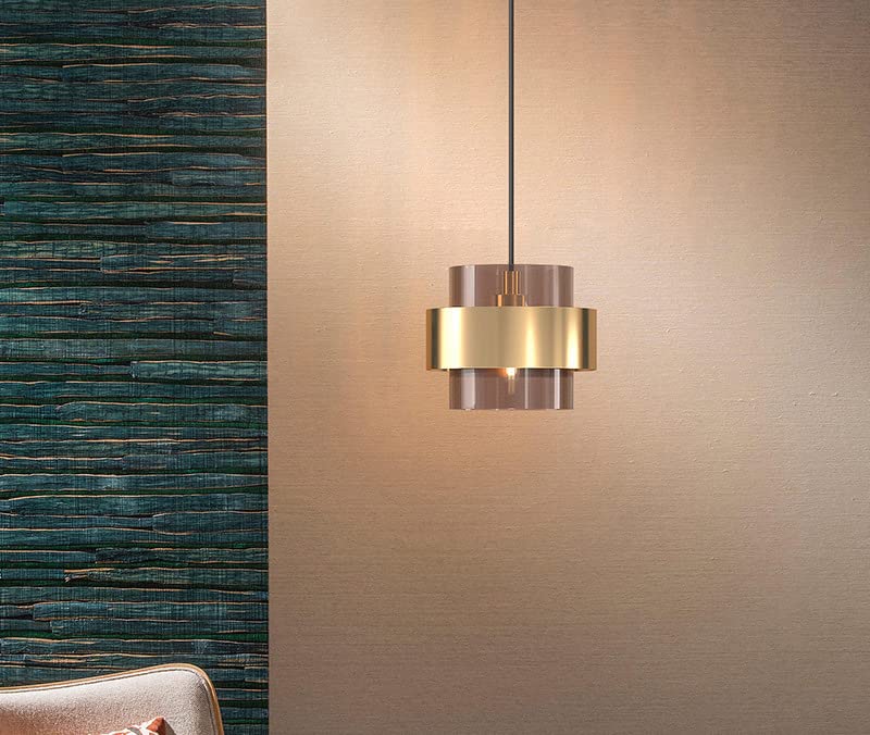 Modern Glass Pendant Light Fixtures Brass Ceiling Hanging Light