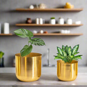 Gold Metal Planters | Big Planter & Small Planter