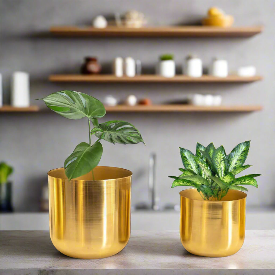 Gold Metal Planters | Big Planter & Small Planter