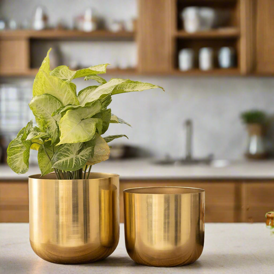Gold Metal Planters | Big Planter & Small Planter