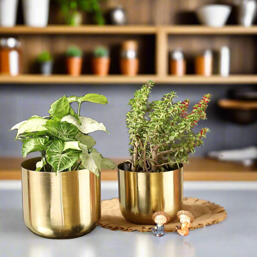Gold Metal Planters | Big Planter & Small Planter