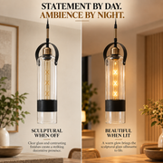 Coral Tree Modern Cylindrical Clear Glass Pendant Light with Black & Antique Brass Detail