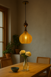 Simple Modern Wrought Iron Glass pendant light