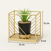 Artificial Tabletop Planter with Golden Metal Frame & Black Pot