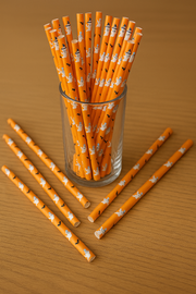 Halloween Paper Straws - 50pcs - Orange Ghost & Bat Print – Eco-Friendly