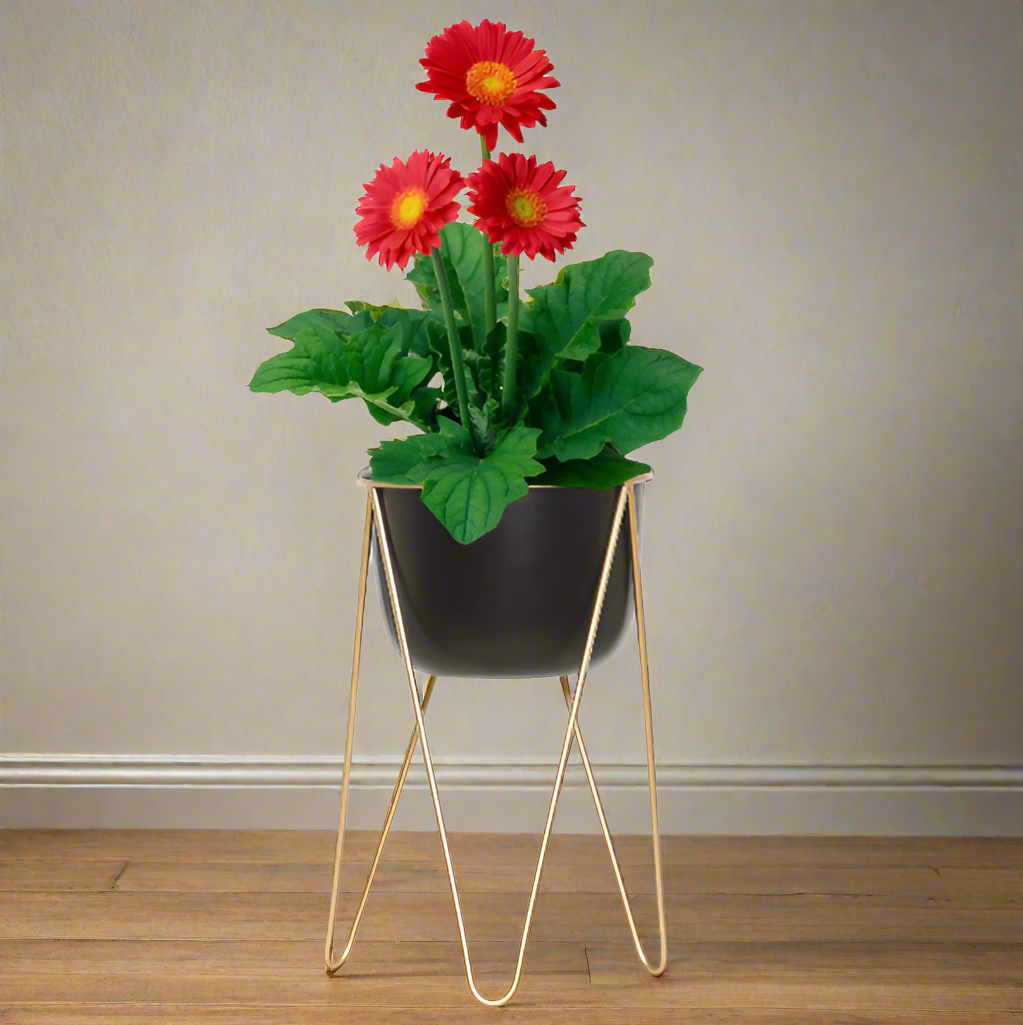 Metal Planter