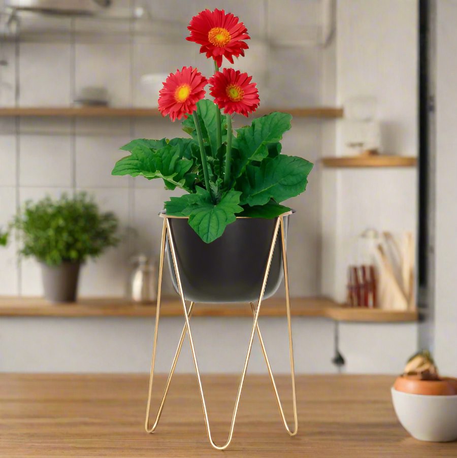 Metal Planter
