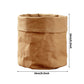 kraft paper planter for indoor use.