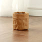 kraft paper planter for indoor use.