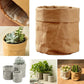 kraft paper planter for indoor use.