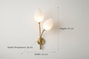 Modern Dual Glass Wall Light | G9 Bulb Holder | Gold Finish Decorative Wall Lamp for Bedroom, Living Room