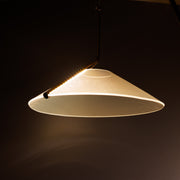 LED Acrylic Pendant Lamp