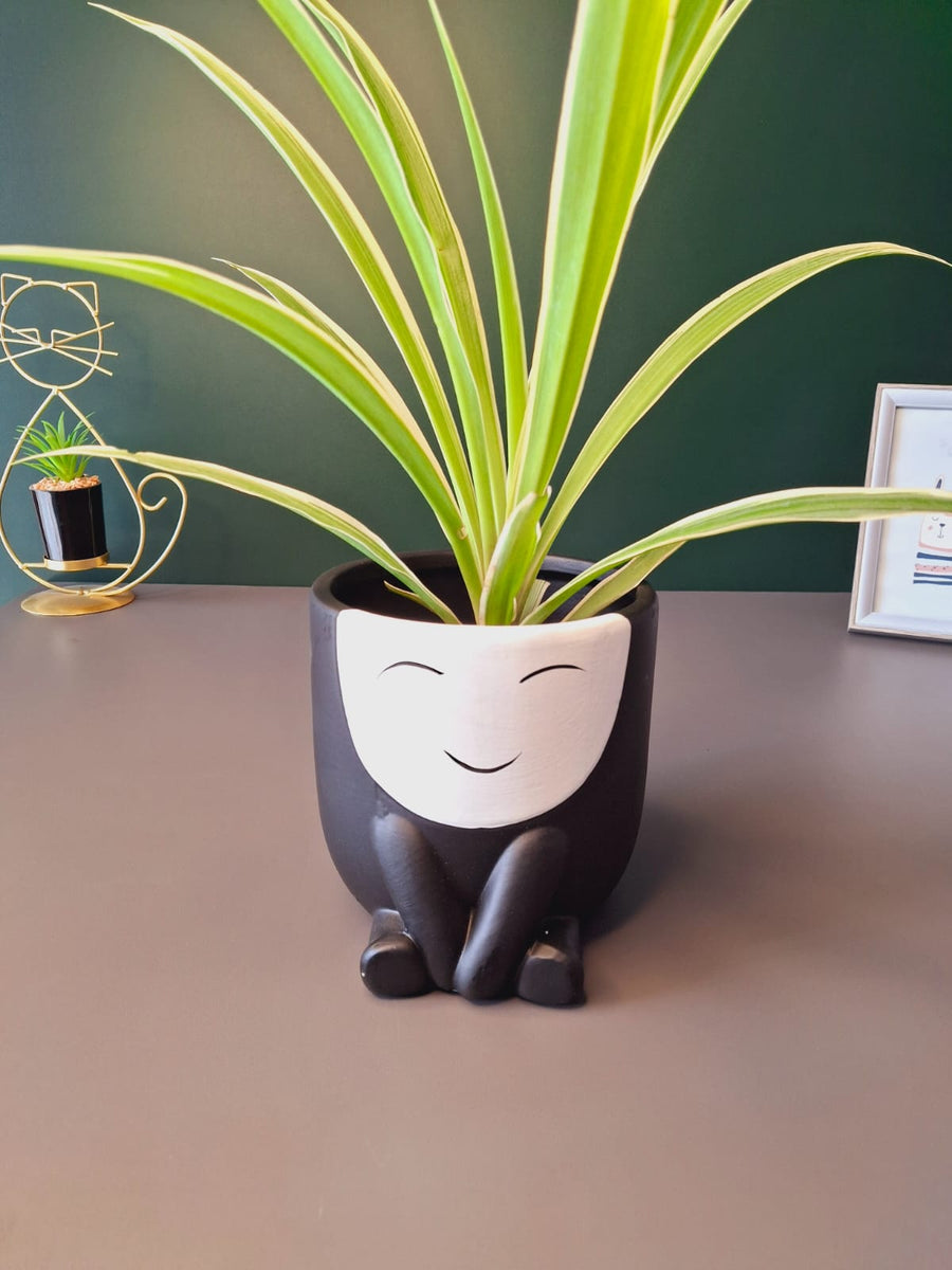 Cute Face Ceramic Flower Pot
