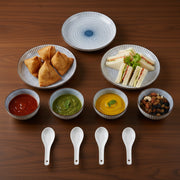 10 piece Ceramic Dinnerware Set -Elegant Blue & White Design