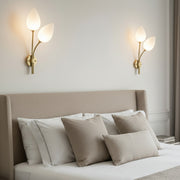 Modern Dual Glass Wall Light | G9 Bulb Holder | Gold Finish Decorative Wall Lamp for Bedroom, Living Room