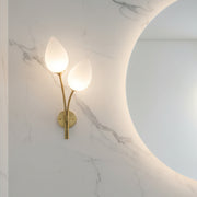 Modern Dual Glass Wall Light | G9 Bulb Holder | Gold Finish Decorative Wall Lamp for Bedroom, Living Room