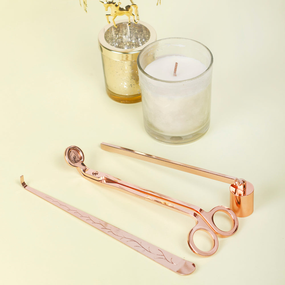 Candle wick organiser