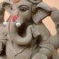 8 Inch Eco Friendly Plantable Ganesh Ji