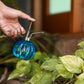 set of 2 Charming Glass Plant Mister & Sprayer