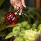 set of 2 Charming Glass Plant Mister & Sprayer