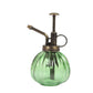 set of 2 Charming Glass Plant Mister & Sprayer