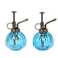 set of 2 Charming Glass Plant Mister & Sprayer