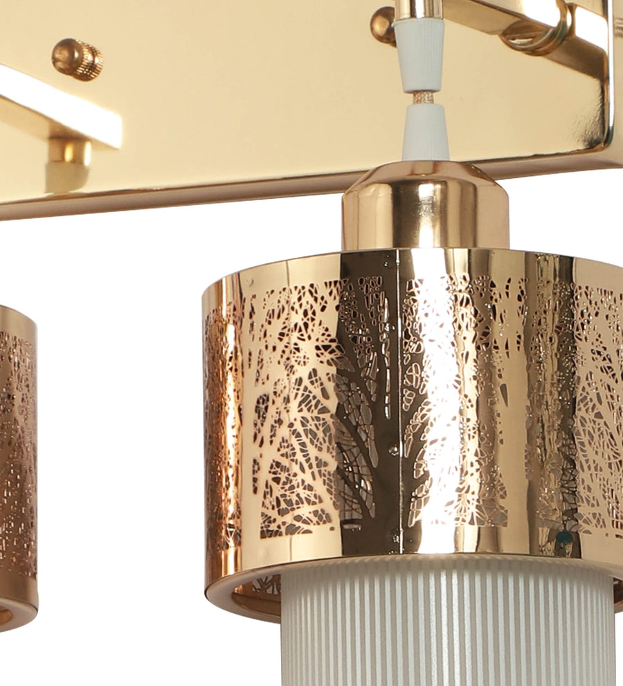 Double Hanging Golden Finish Wall Light